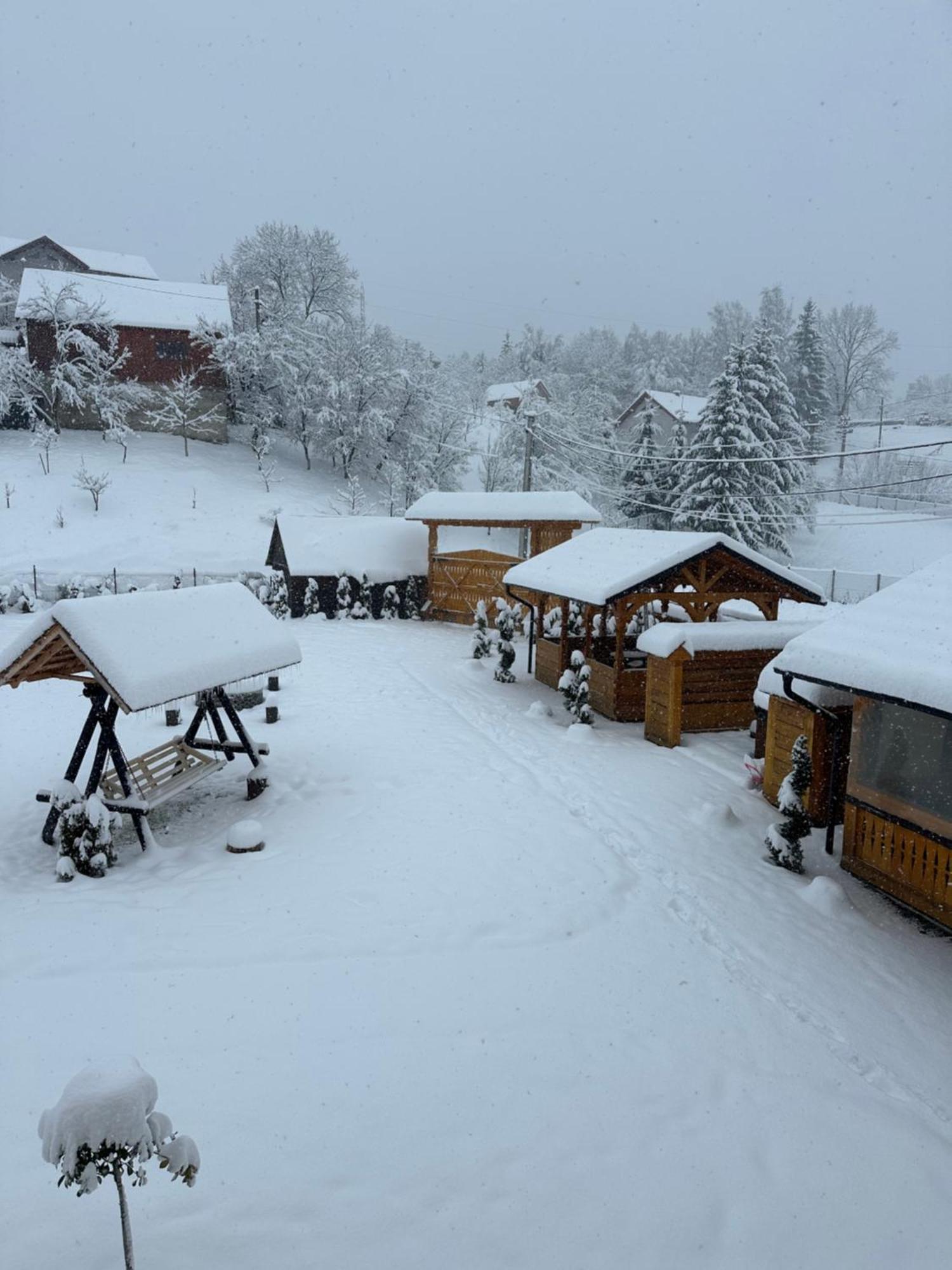 Popasul Din Vale Hotel Moisei Bagian luar foto
