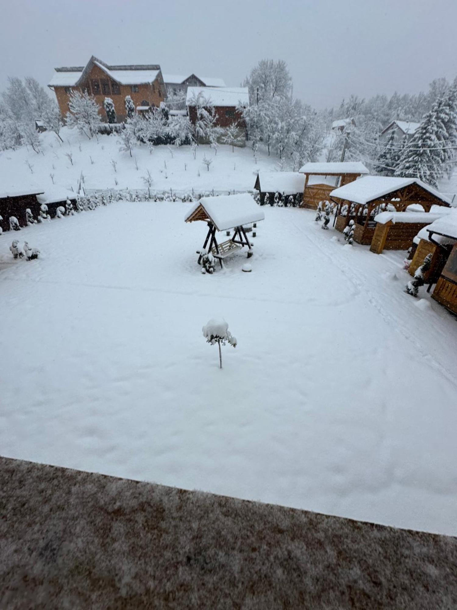 Popasul Din Vale Hotel Moisei Bagian luar foto